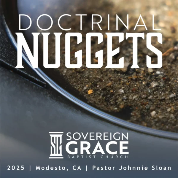 Doctrinal Nuggets 1 - Sin Image